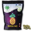 Sachet de fleurs CBD Tropical Haze avec un logo d’ananas lumineux et une tête de fleur CBD posée à droite.