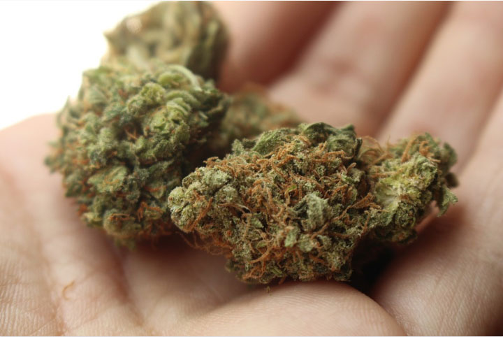 Fleur cbd
