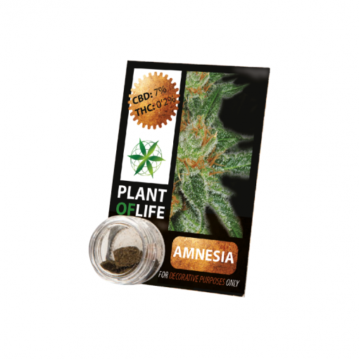 Boîte de résine CBD Amnesia 7 % de Plant Of Life, avec visuel d’une fleur de chanvre et pot transparent contenant le produit.