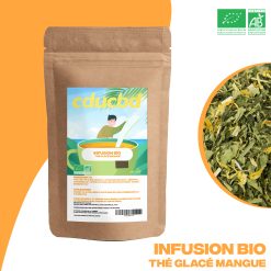 Thé glacé chanvre MANGUE Bio