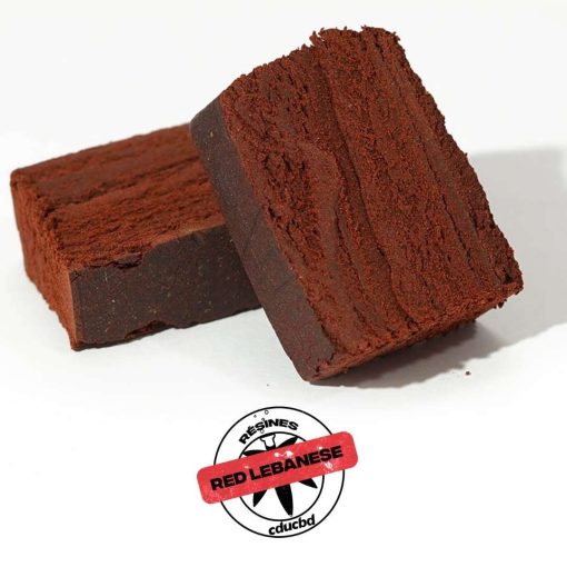 Deux blocs de résine brune-rouge, coupés, laissant apparaître une texture stratifiée.