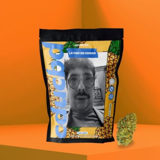 Un sachet jaune orné d’ananas et du portrait en noir et blanc d’un homme, avec une fleur verte.