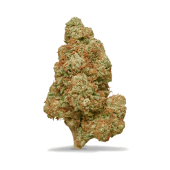 California Haze H4CBD 25%