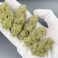 fleurs indoor blueberry cbd cducbd