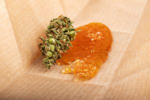 cannabis-seche-resine