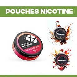 Pouches Nicotine