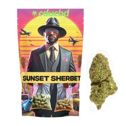 Un sachet coloré représentant un homme en costume « Sunset Sherbet » à côté d’une fleur verte.
