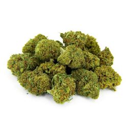 Un tas de petites fleurs de chanvre vertes, légèrement feuillues, amassées sur fond blanc.