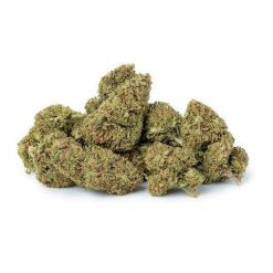 Groupe de têtes de fleurs de chanvre séchées, de forme compacte, avec des tons verts clairs et des reflets orangés, posées sur fond blanc