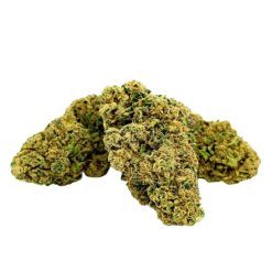 Trois bourgeons de fleur CBD Critical Kush, verts et denses, recouverts de trichomes et de pistils orangés.