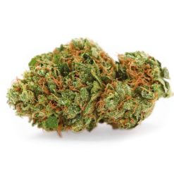 Bourgeon compact de fleur CBD, vert intense avec des pistils orange et une fine couche de trichomes cristallins.