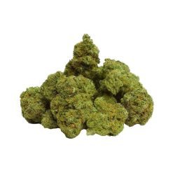 Petit groupe de bourgeons de fleurs CBD Strawberry Haze, denses, verts et recouverts de trichomes.