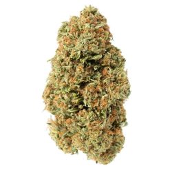 tête de fleurs de chanvre compact, vert avec de nombreux pistils orangés et une couche de trichomes.