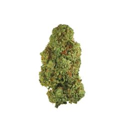 Gros bourgeon de cannabis vert avec des pistils orangés et une texture dense.