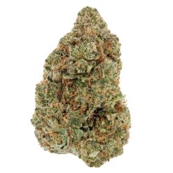 Gros bud de fleur séchée, vert foncé avec des pistils orange et des trichomes visibles.