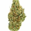 Gros bourgeon de cannabis compact, aux teintes vert clair et orangées, recouvert de trichomes cristallins.