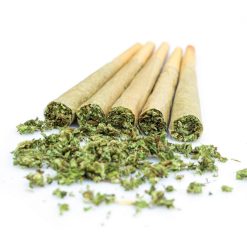 Cinq pre-rolls de fleurs de cannabis broyées, disposés en ligne avec du chanvre émietté devant.