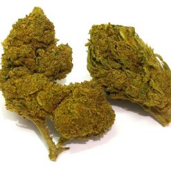 Plusieurs têtes de fleurs de chanvre CBD Ak-47 trim
