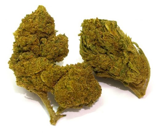 Plusieurs têtes de fleurs de chanvre CBD Ak-47 trim