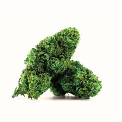 Deux têtes de fleurs de cannabis compactes, vert vif avec une forte présence de trichomes cristallins.