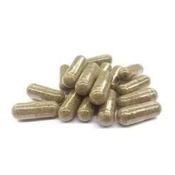 Gélules translucides remplies de poudre végétale, disposées en vrac sur un fond blanc.