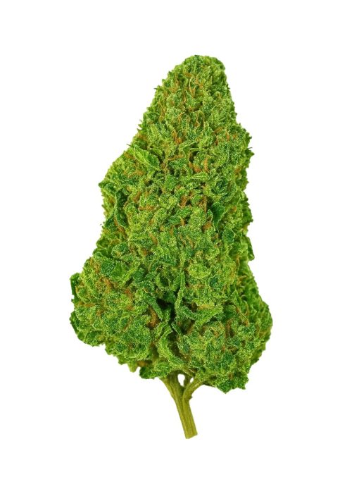 Fleur Magic Alien THV-N10 15%