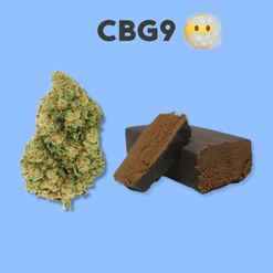 CBG9 Fleurs Résines