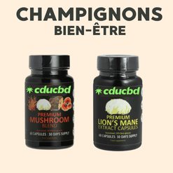 Champignons Adaptogènes