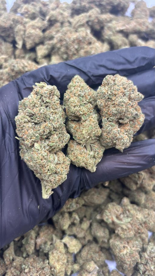Lemon Haze hydro