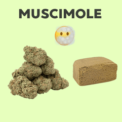 Muscimole Fleurs Résines Vape
