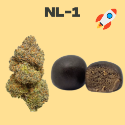 NL-1