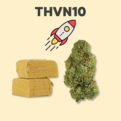 THV N-10