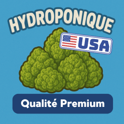 Fleurs CBD Hydroponie