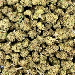 Fleur de CBD Small Bud CBD+, petites têtes compactes et résineuses issues de culture sous serre