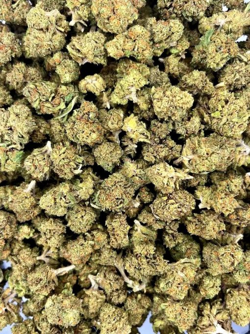 Small Bud THX +