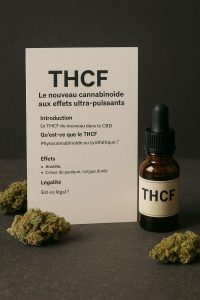 Un présentoir sur une table en titre THCF. à coté un flacon d'huile et des fleurs de chanvre.