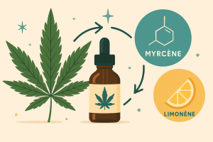 effet d'entourage cbd