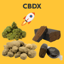 CBDX