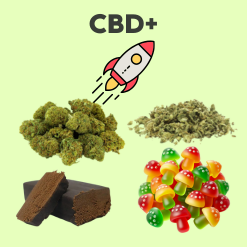 CBD+
