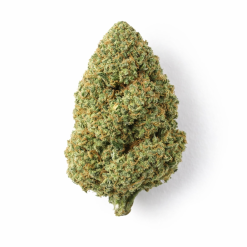 Fleur de chanvre type CBD