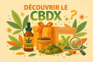 Découvrir le CBDX