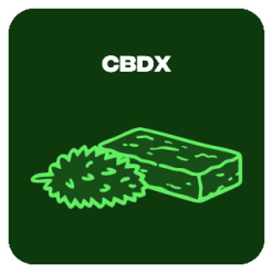 CBDX