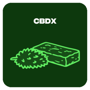 CBDX