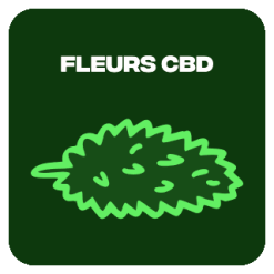 Fleurs CBD