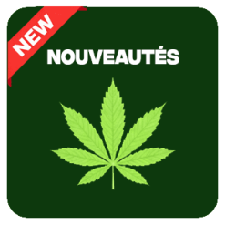 Nouveautés