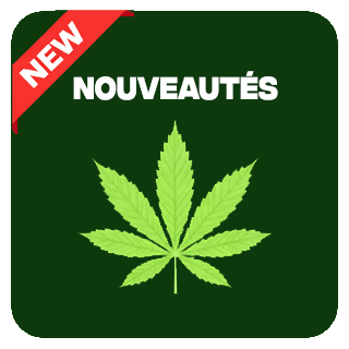 Nouveautés