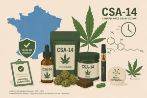 illustration CSA 14
