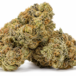 Fleur Angel Cake CBDX