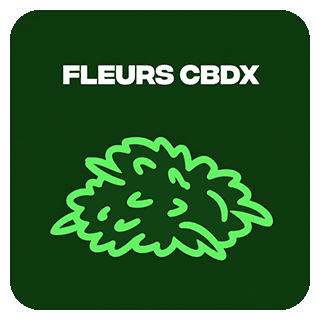 Fleurs CBDX